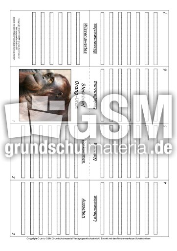 Faltbuch-Orang-Utan.pdf